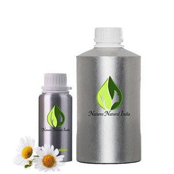 Chamomile German (hungary)