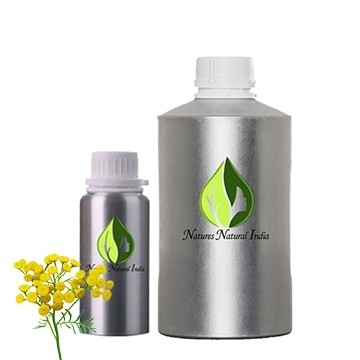 Costmary Essential Oil