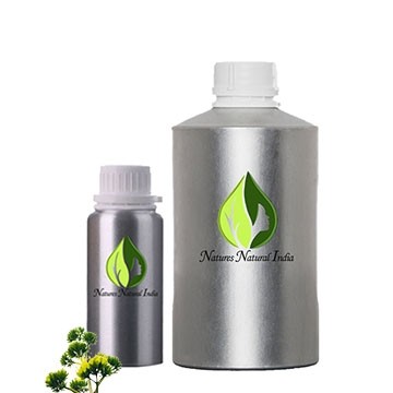 Dwarf Pine Essential Oil
