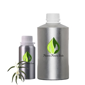 Eucalyptus  Certified Organic Oil