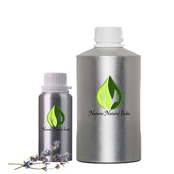 Lavender Absolute Oil