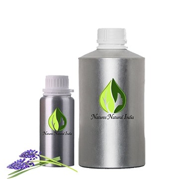 Lavender (south africa)
