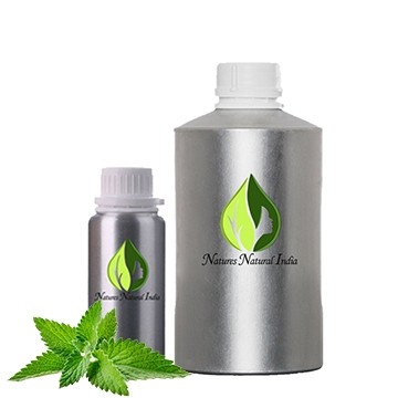 Leaves Mentha Piperita Organic Peppermint Essential Oil