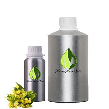 Linden Blossom Oil