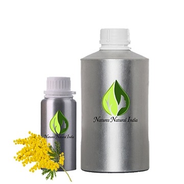 Mimosa Absolute Oil