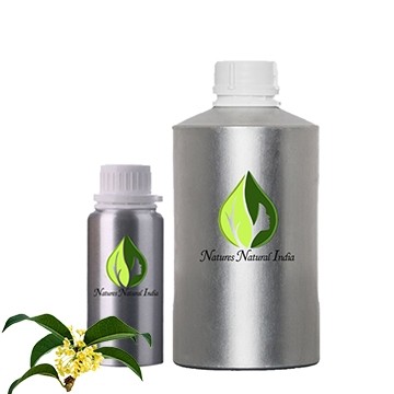 Osmanthus Floral Absolute Oil