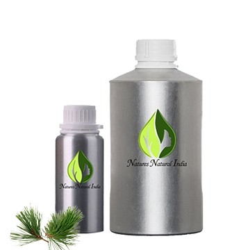 Pine Needle Essential Oil