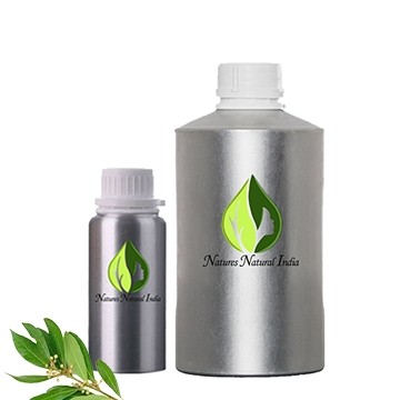 Ravensara Essential Oil