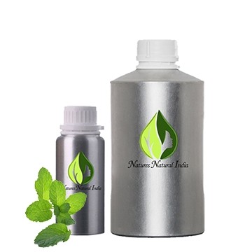 Steam Distillation Mentha Piperita Peppermint Oil