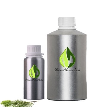 Thuja Essential Oil (Cedar Leaf)