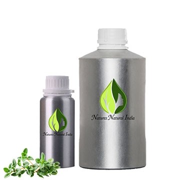 Thyme White Essential Oil