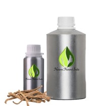 Angelica root oil