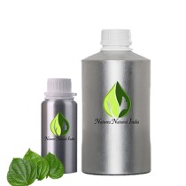 Betel Leaf Essential Oil