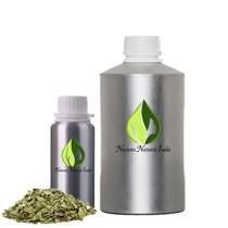 Buchu Essential Oil