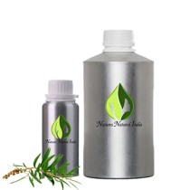 Cajeput Essential Oil