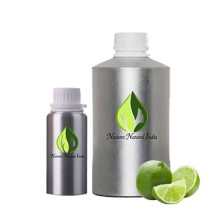 Caribbean Lime Fragrance