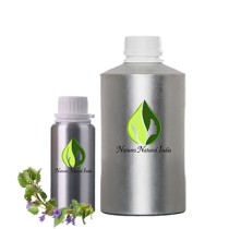 Catnip Essential Oil