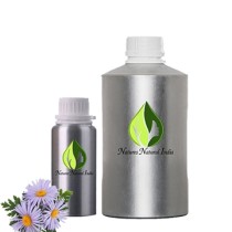 Chamomile German (bulgaria)