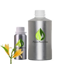Champaca Absolute 3% Dilution in Jojoba Oil