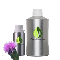 Honey Myrttle Essential Oil