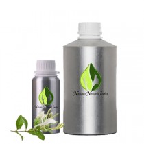 Honeysuckle Absolute Oil