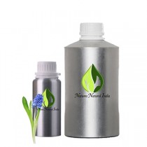 Hyacinth Floral Absolute oil