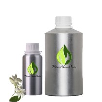 Jasmine Grandiflorum 3% Dilution in Jojoba Oil