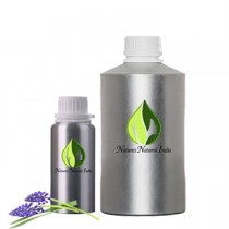 Lavender (south africa)