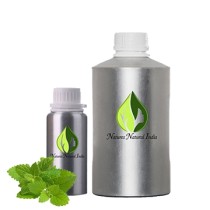 Lemon Balm Fragrance