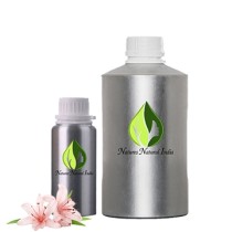Lily Attar