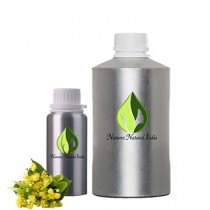 Linden Blossom Oil