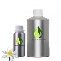 Lotus White Absolute Oil