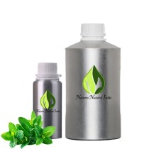 Melissa Leaf 3% Dilution in Jojoba Oil