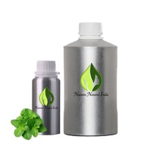 Mint Fragrance 