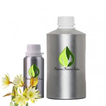 Night Queen Absolute Oil