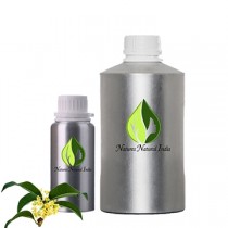 Osmanthus Floral Absolute Oil