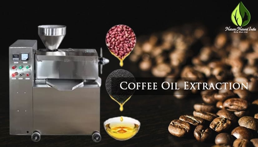Coffee Beans And Coffee Oil Extraction