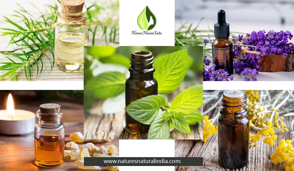 Essential Oils For Treating Bruises Essential Oils For Treating Bruises