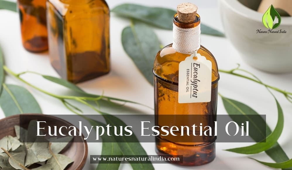 Eucalyptus essential oil