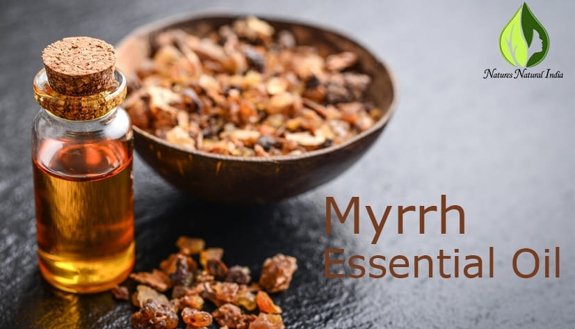 Myrrh essential oil manufacturers Myrrh essential oil manufacturers