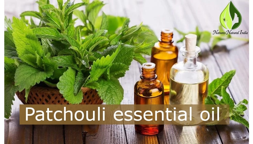 Patchouli essential oil Patchouli essential oil