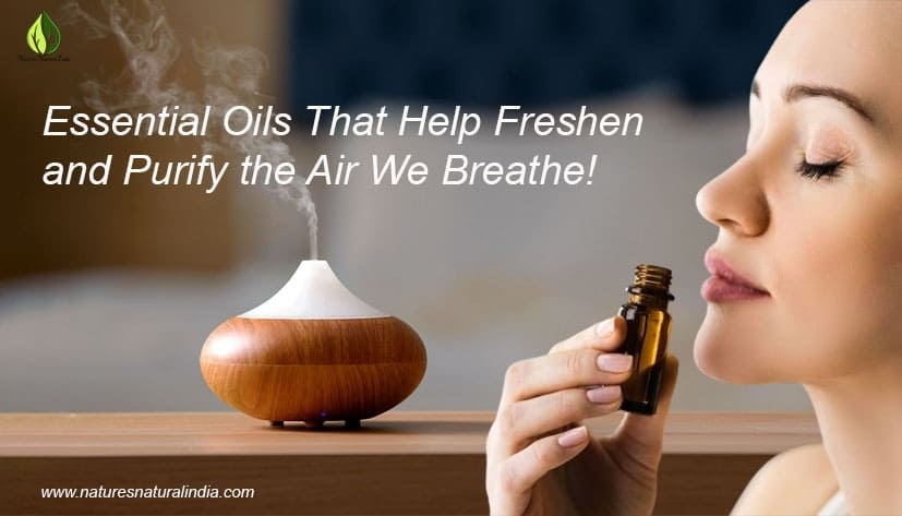 What Essential Oils That Help Freshen And Purify The Air We Breathe