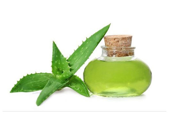 Aloe Vera certified organic oil