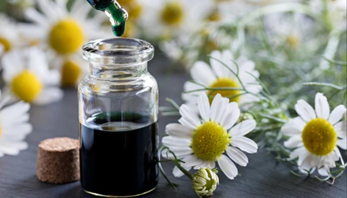 Chamomile Essential Oil