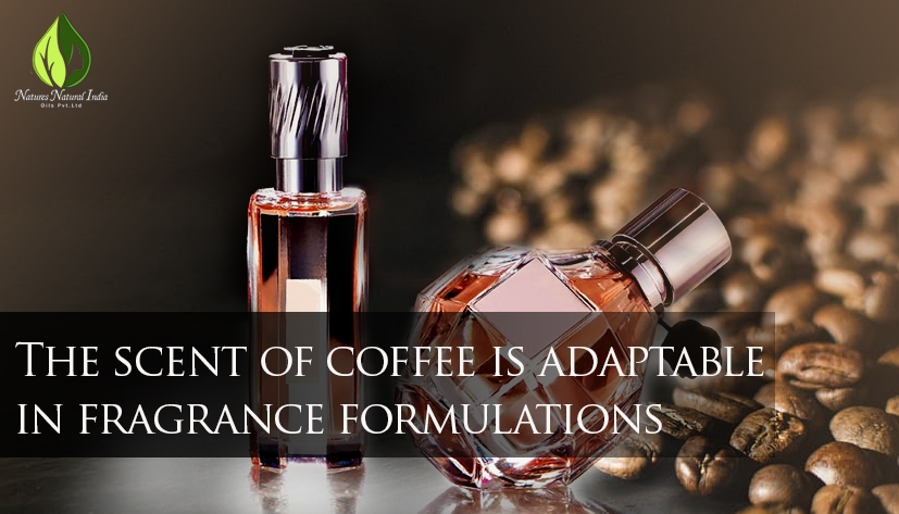 Coffee Oil benefits