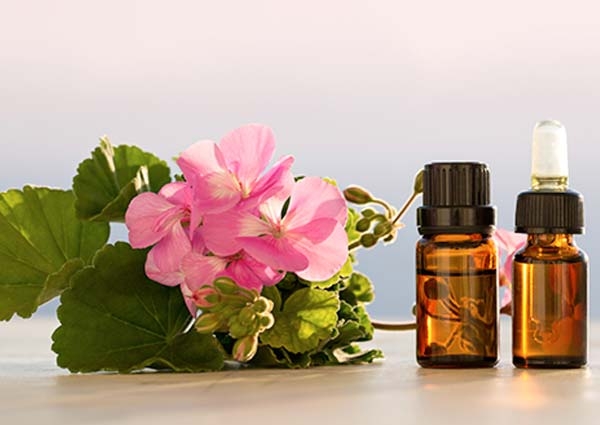 Geranium certified organic oil