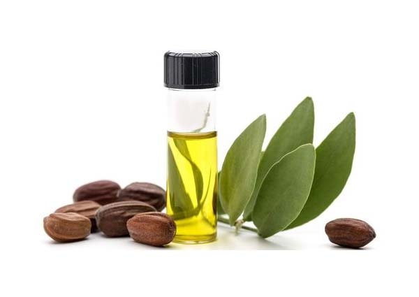 Jojoba certified organic oil
