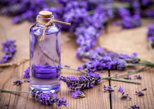 Lavender certified organic oil