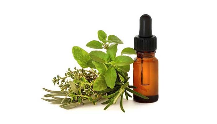 Marjoram Essential Oil