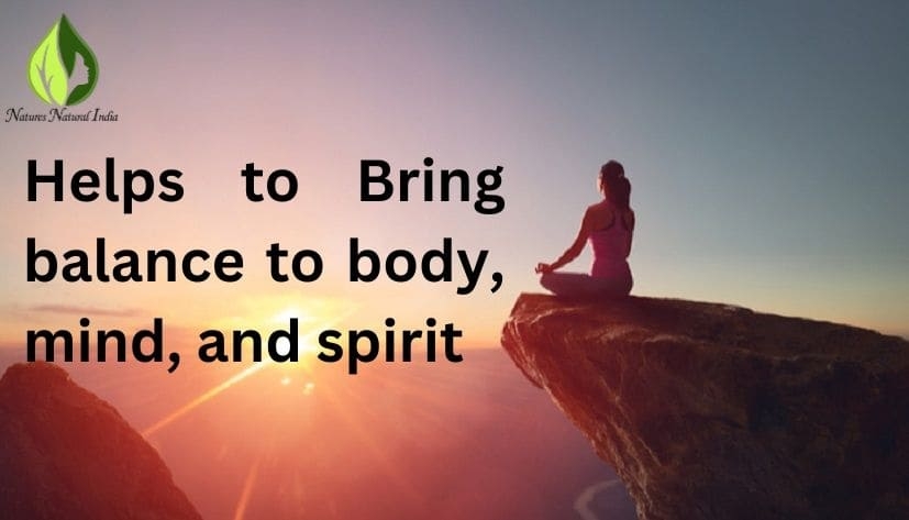 Natural holy basil essential oil 